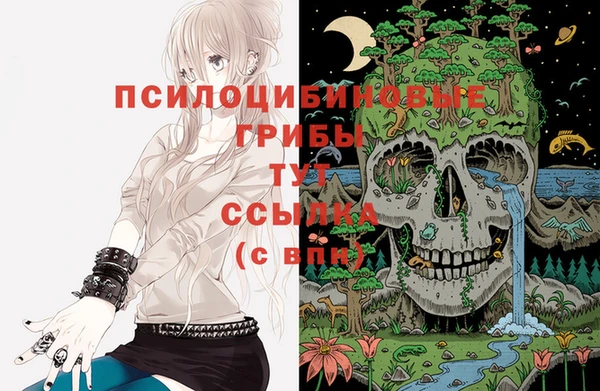 спайс Алзамай