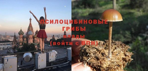 стафф Алексеевка